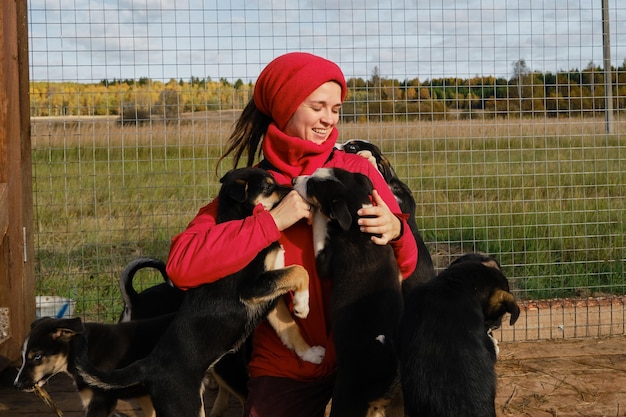 Mulher veio ao abrigo de animais para escolher o amigo filhote Filhotes de husky preto e branco do Alasca