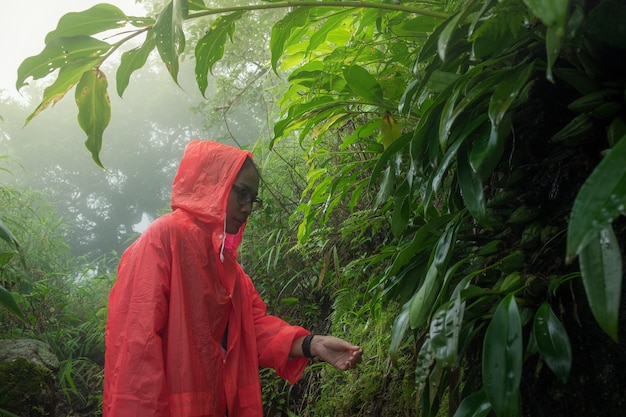Mulher vestindo um impermeável laranja enquanto está de pé na floresta durante a estação chuvosa