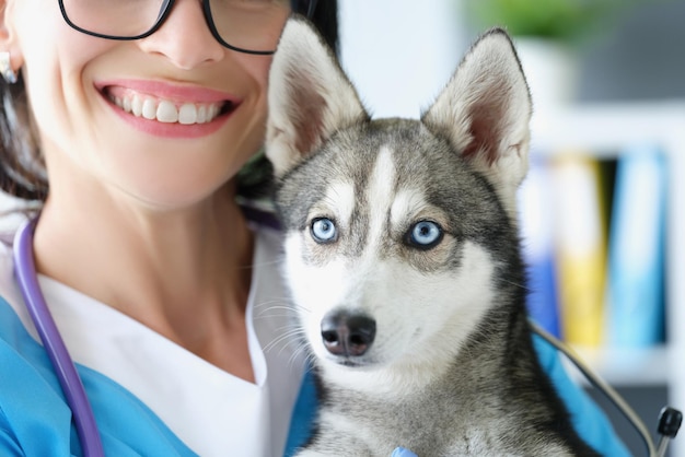 Mulher veterinária alegre e cachorrinho husky fofo nas mãos