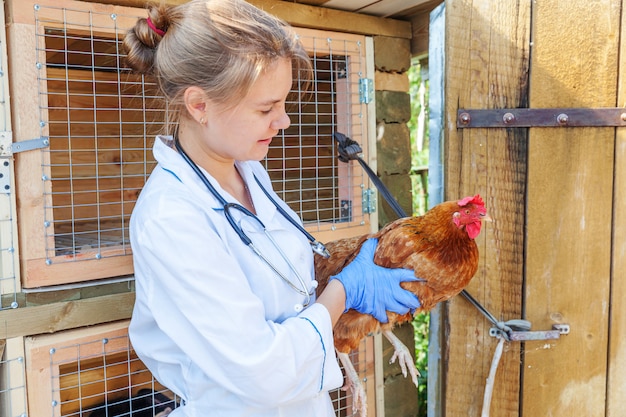 Foto mulher veterinária jovem feliz com estetoscópio segurando e examinando a galinha