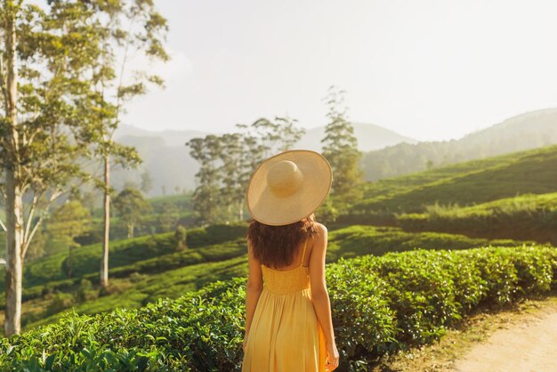 Mulher viajante nas plantações de chá em Nuwara Eliya, Sri Lanka