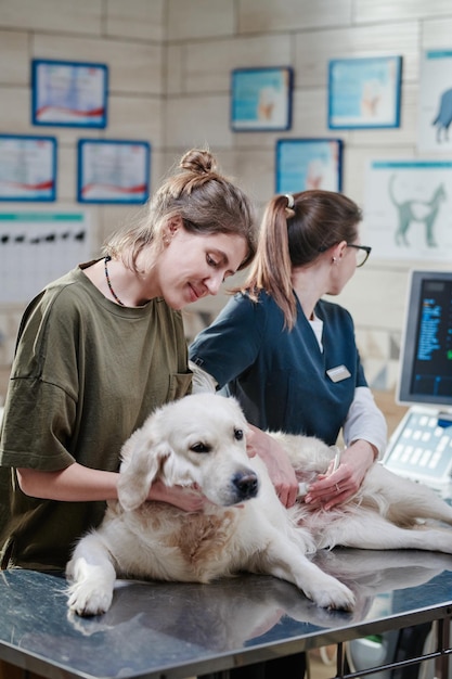 Foto mulher visitando clínica veterinária com seu cachorro