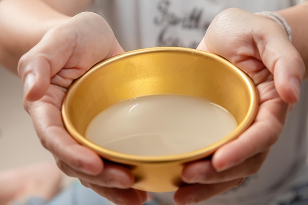 Mulheres asiáticas que gostam de beber makgeolli para celebrar o vinho de arroz makgeolli é uma bebida alcoólica fermentada coreana bebidas tradicionais