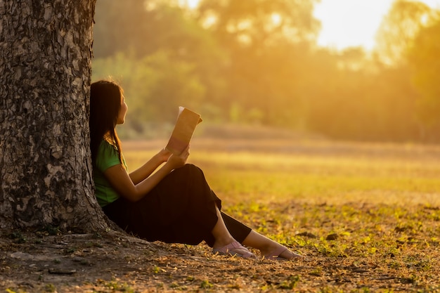 Mulheres asiáticas sentadas Olhe o pôr do sol e leia o livro debaixo da árvore.