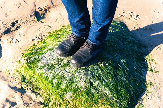 Mulheres com botas e calças de ganga azuis em pé sobre uma pedra coberta de algas verdes
