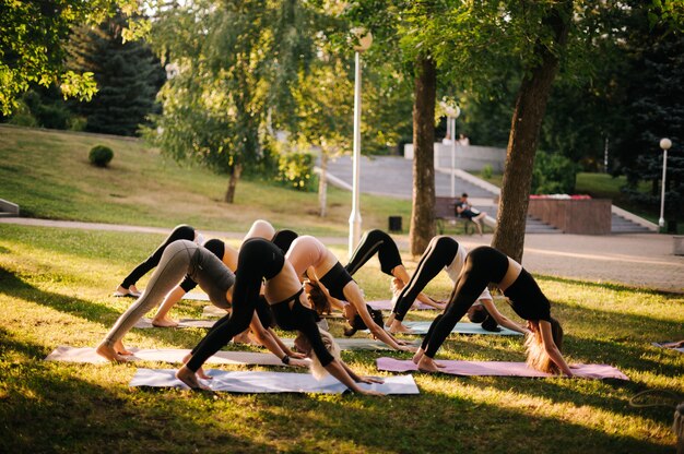 Mulheres esportivas estão praticando ioga, alongando-se nos exercícios de cão voltado para baixo, na postura de Adho Mukha Svanasana. Grupo de pessoas fazendo pose de ioga voltada para baixo em tapetes de ioga na grama verde