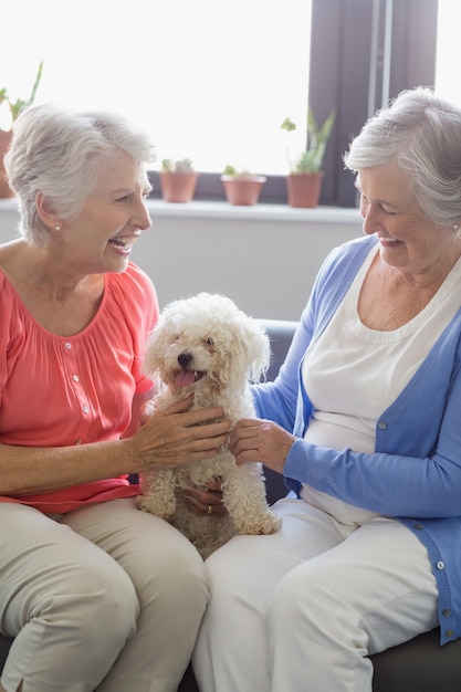 Mulheres idosas acariciando um cachorro