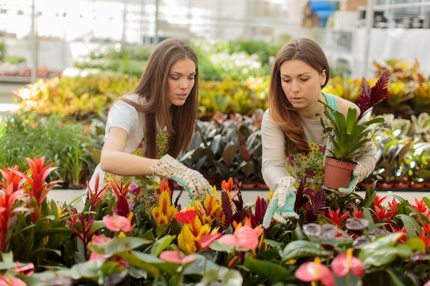 Mulheres jovens, em, a, jardim flor