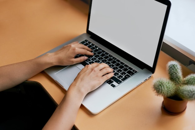 Mulheres jovens trabalhando em seu laptop com tela de espaço de cópia em branco para sua mensagem de texto de publicidade