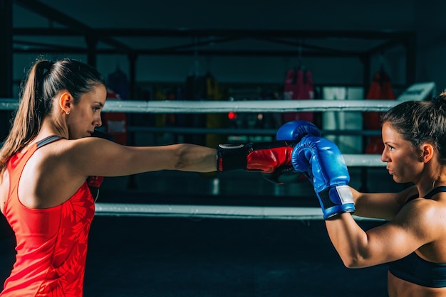 Mulheres no treinamento de boxe