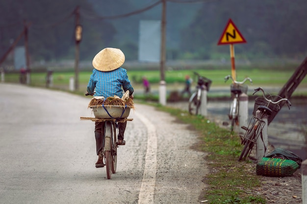 Mulheres pedalando próximo a campos de arroz no vietnã