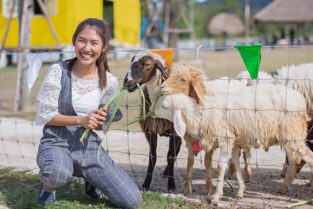 Mulheres viajando para assistir animais