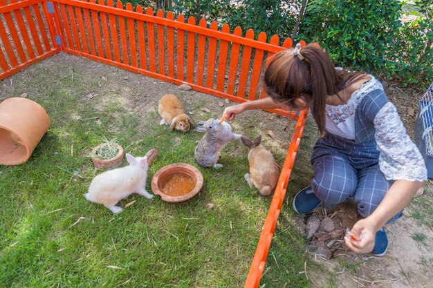 Mulheres viajando para assistir animais