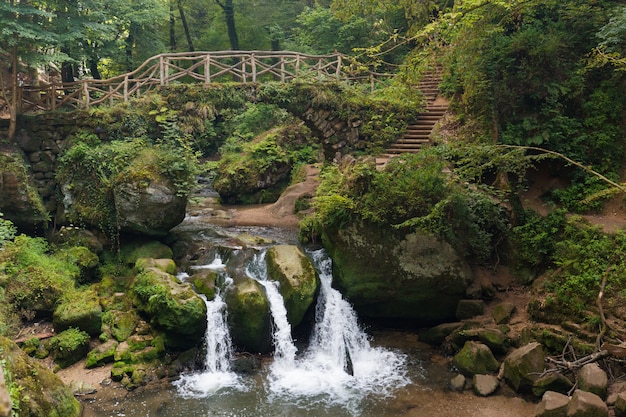 Mullerthal trail cascada en la región de Mullerthal de Luxemburgo