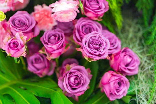 Multi misturou rosas coloridas na decoração floral, fundo colorido das flores do casamento