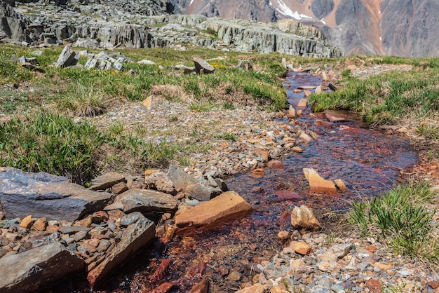 Multicolor-Steine in klarem Wasser Stream mit bunten steinigen Boden zwischen Gräsern und Felsen im Sonnenlicht Bunte Bergbach mit Mineralwasser in strahlender Sonne Malerische Landschaft mit Quellwasser