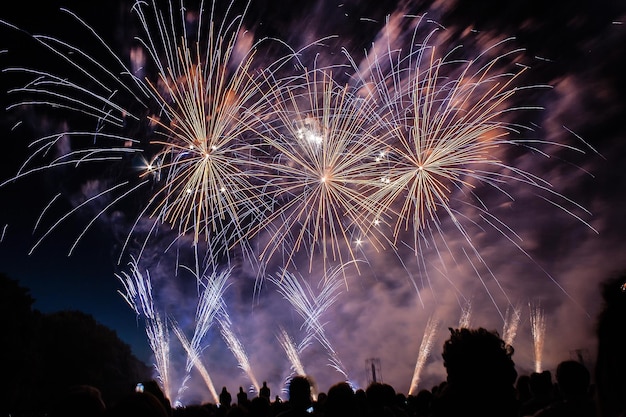 Multidão assistindo a fogos de artifício