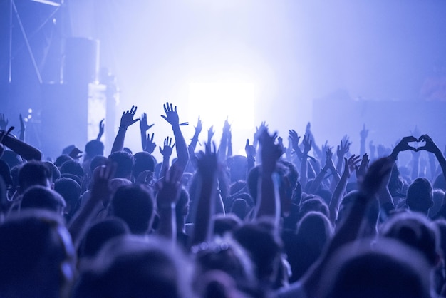 Multidão durante um concerto de música à noite