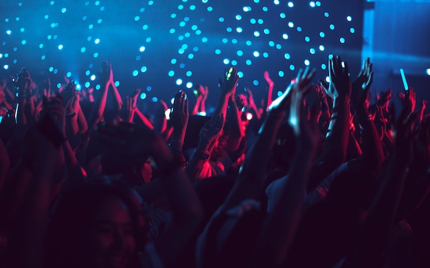 Multidão em um concerto de música