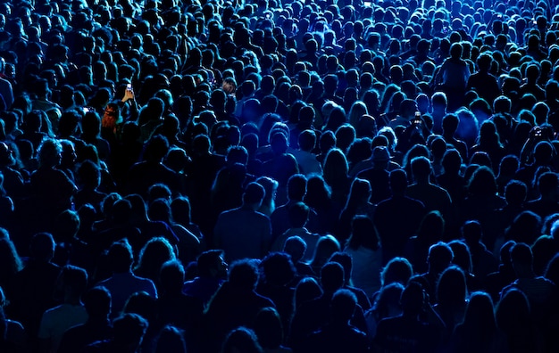 Multidão em um concerto de música