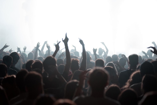 Multidão festejando em um concerto ao vivo em um festival de música
