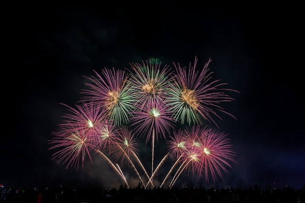 Multidão parece fogos de artifício de férias no céu escuro da noite.