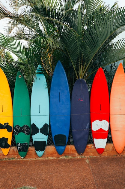 Múltiples tablas de surf coloridas alinean una valla con palmeras en el fondo en paia maui hawaii