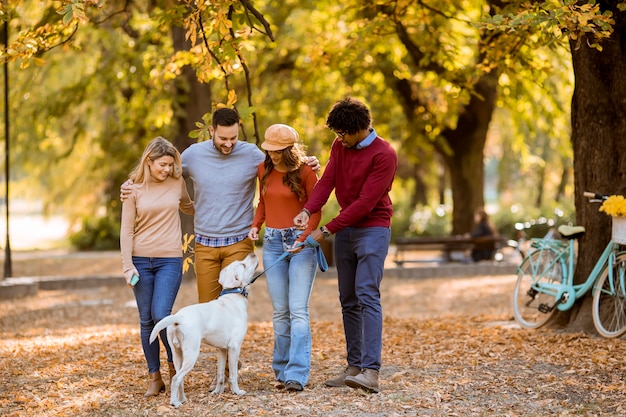 Multirraciais jovens andando no parque outono e se divertindo