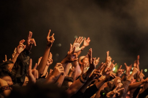 multitud alegre en un concierto de música