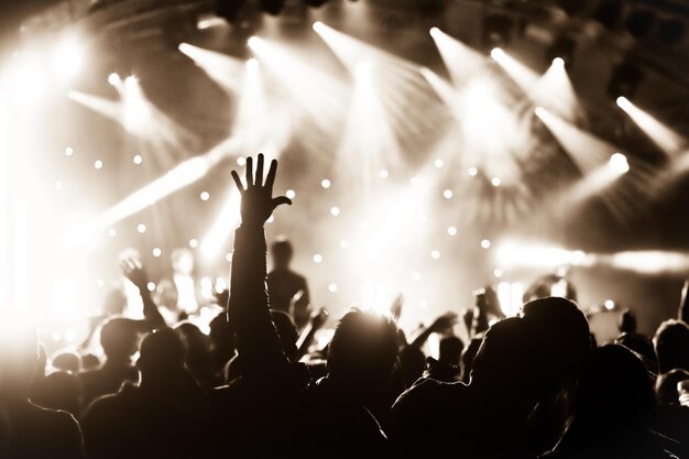 multitud aplaudiendo en un concierto de música en vivo