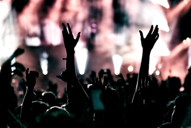 La multitud aplaudiendo en un festival de música