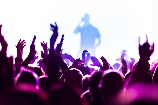 La multitud en un concierto de música