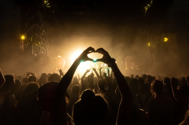 Foto multitud de fanáticos en concierto