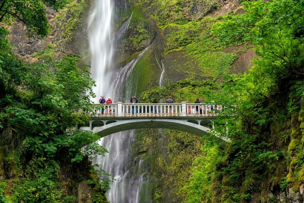 Multnomah Falls en la garganta del río Columbia