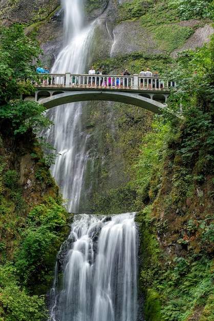 Multnomah Falls en la garganta del río Columbia