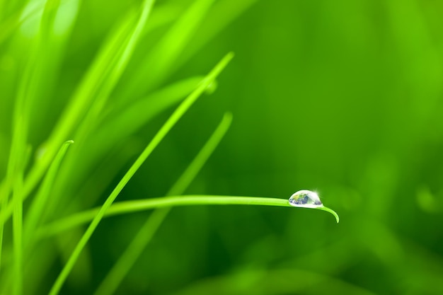 Mundo en una gota de agua sobre hierba con espacio de copia