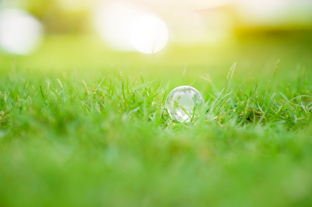 Mundo sobre fondo verde, concepto de conservación global