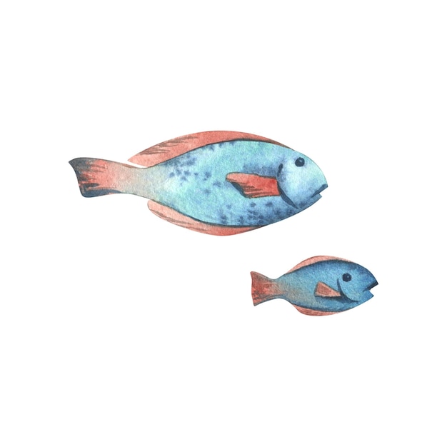 Mundo subaquático clipart com animais marinhos baleia tartaruga polvo cavalo-marinho estrela-do-mar conchas de coral e