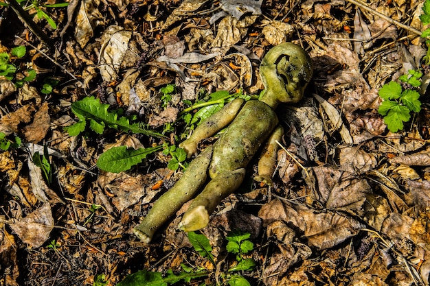 Muñeca rota vieja abandonada en el bosque