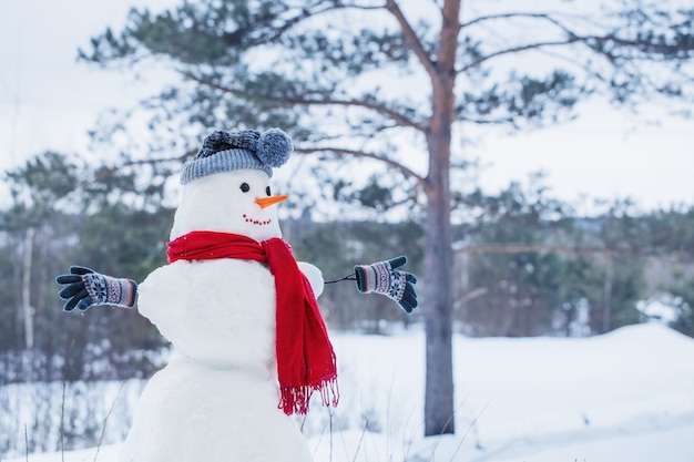 Muñeco de nieve en bufanda roja en bosque