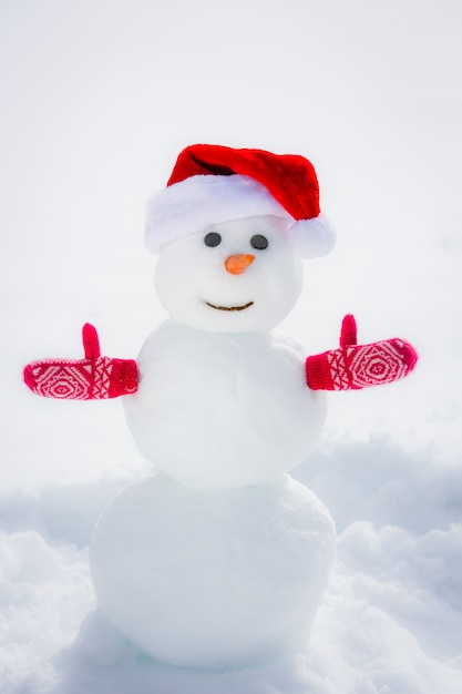 Foto muñeco de nieve feliz en el parque de invierno