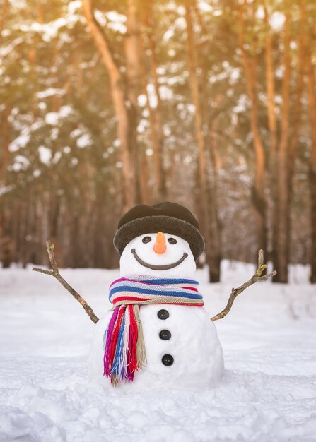 Muñeco de nieve en un parque nevado de la ciudad. Diversión tradicional de invierno para niños en la naturaleza