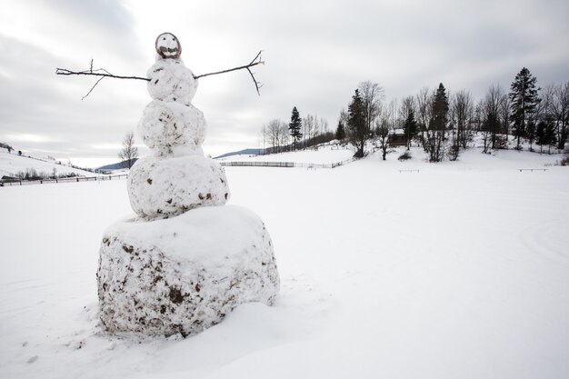 Un muñeco de nieve en el patio de la aldea de cerca