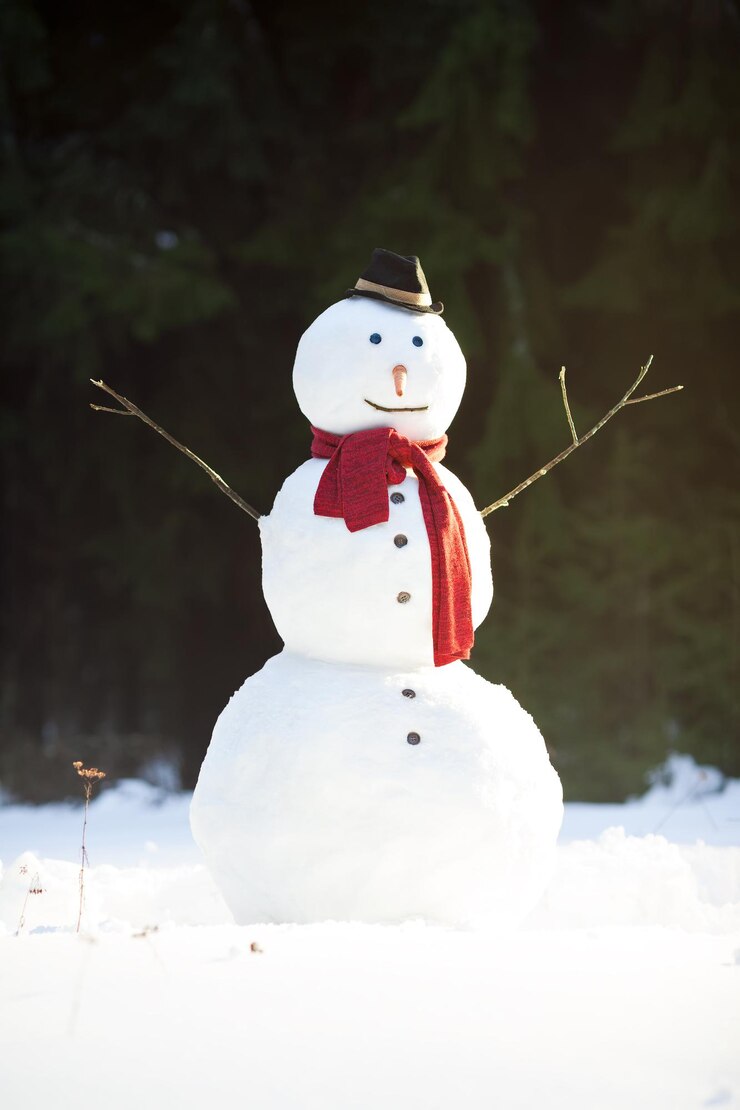 Muñeco de nieve tradicional con pañuelo rojo y sombrero negro con nariz de zanahoria día soleado de invierno en el bosque