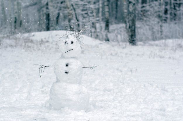 Muñeco de nieve triste en un bosque mágico nevado con palos