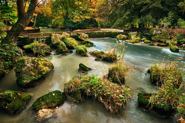 Munich english garden englischer garten park no outono munchen bavaria alemanha