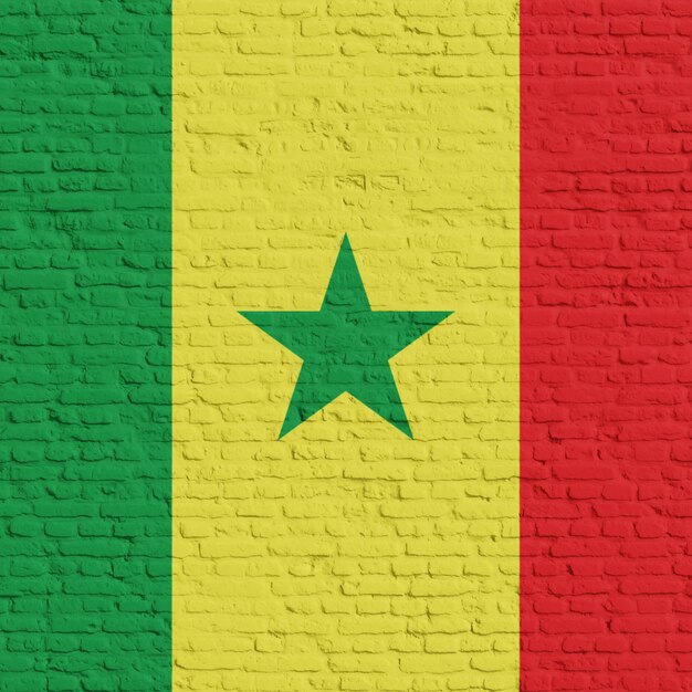 Mural de tijolos com a bandeira do Senegal