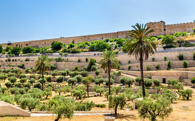 Muralhas da cidade de Jerusalém acima do Vale do Cédron - Israel