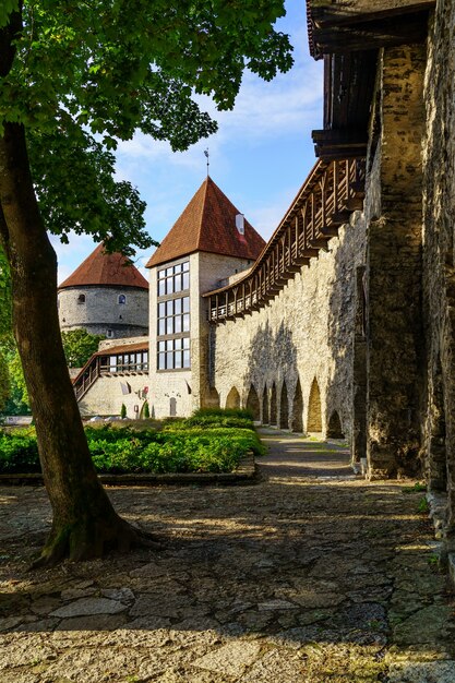 Muralla medieval que rodea la ciudad vieja de Tallin, Estonia.