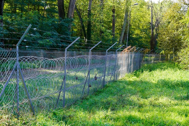 Muro de cercas y barrera de alambre de púas como lugar privado secreto o base militar en la naturaleza vista de protección del concepto de bosque verde